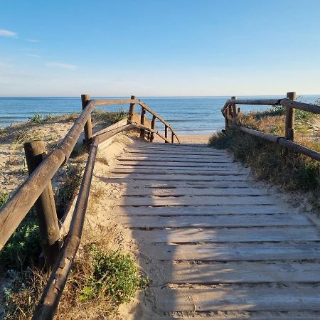 Hello Oliva Beach Alter Dış mekan fotoğraf