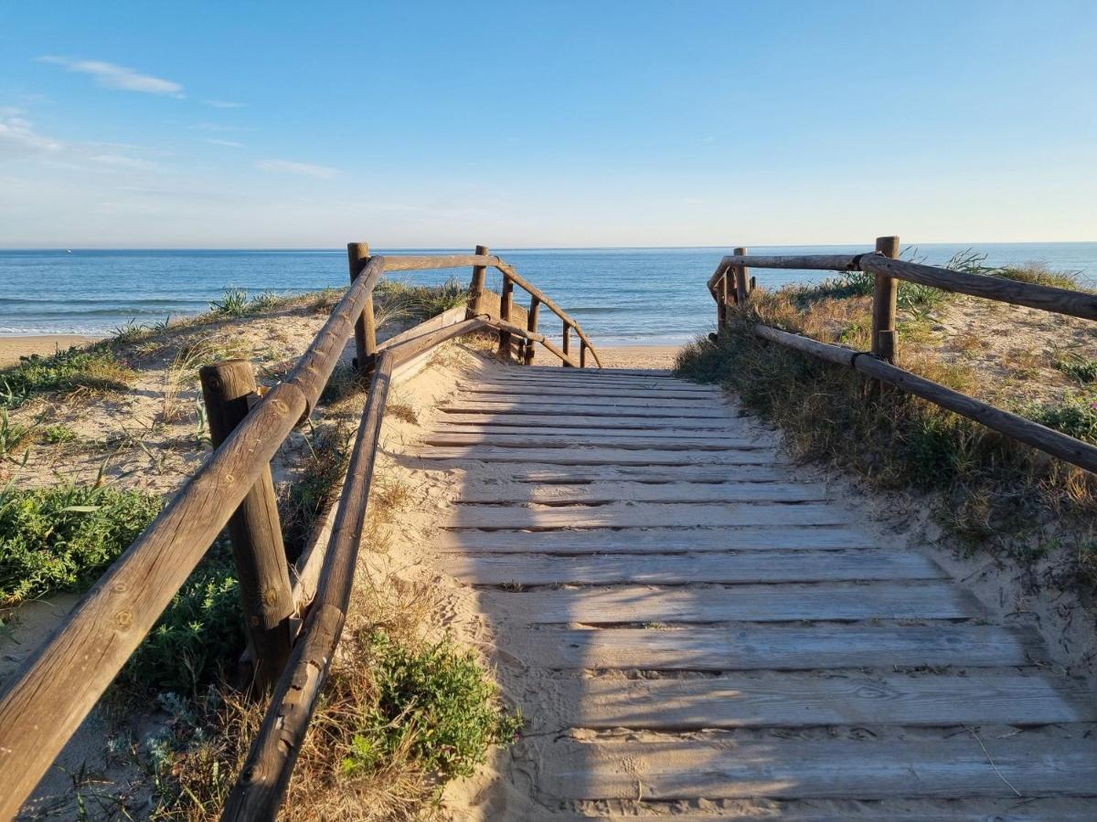 Hello Oliva Beach Alter Dış mekan fotoğraf