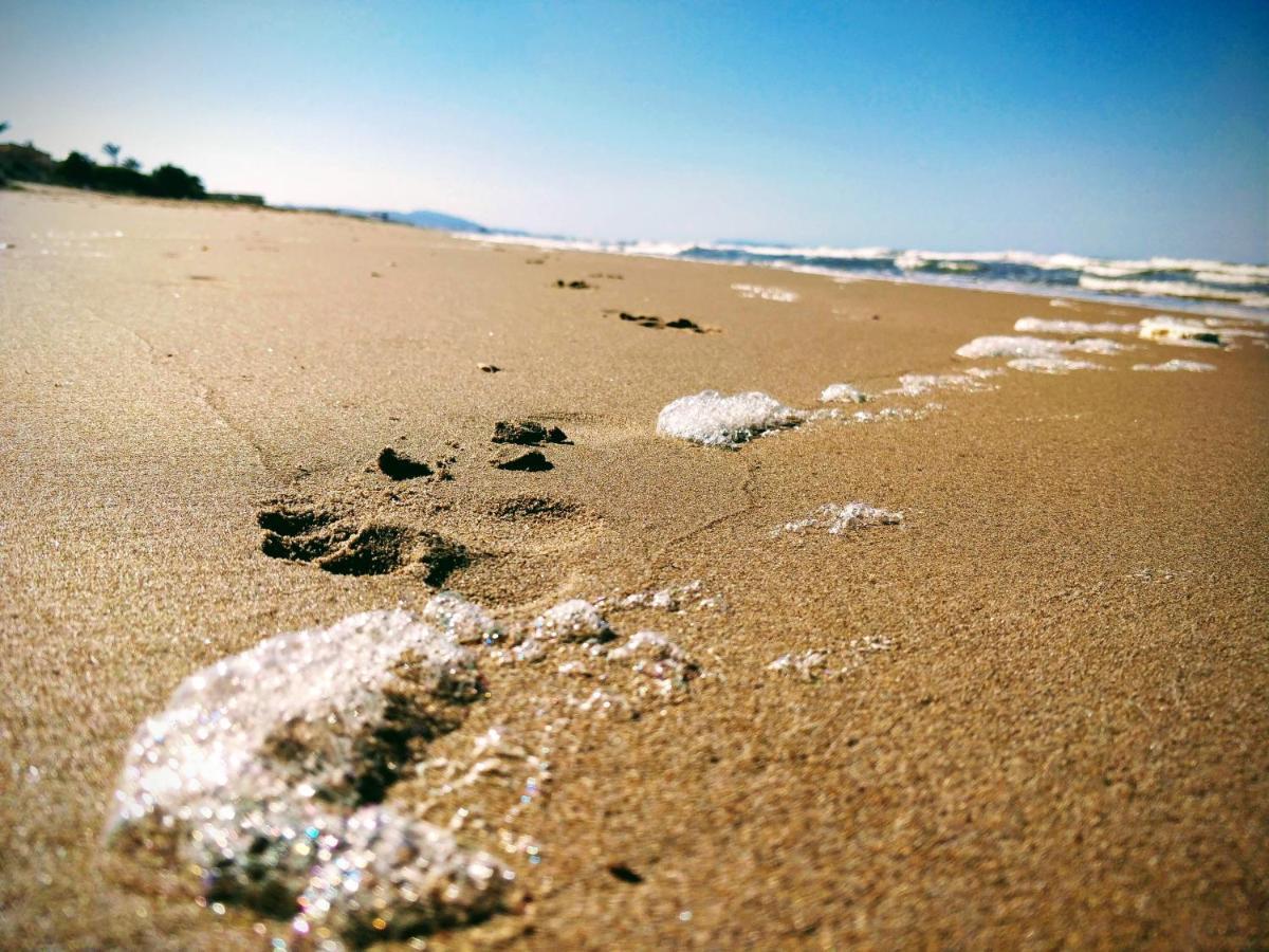Hello Oliva Beach Alter Dış mekan fotoğraf